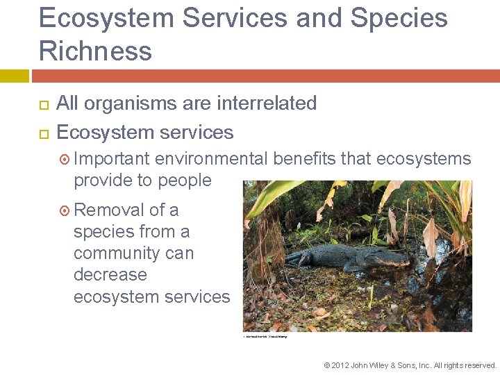 Ecosystem Services and Species Richness All organisms are interrelated Ecosystem services Important environmental benefits