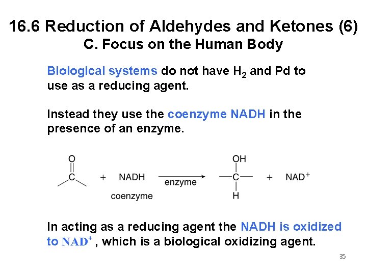 16. 6 Reduction of Aldehydes and Ketones (6) C. Focus on the Human Body