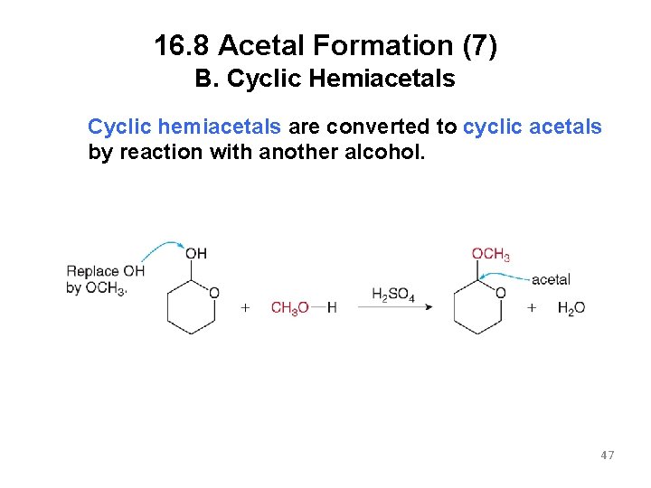 16. 8 Acetal Formation (7) B. Cyclic Hemiacetals Cyclic hemiacetals are converted to cyclic