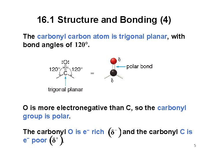 16. 1 Structure and Bonding (4) The carbonyl carbon atom is trigonal planar, with