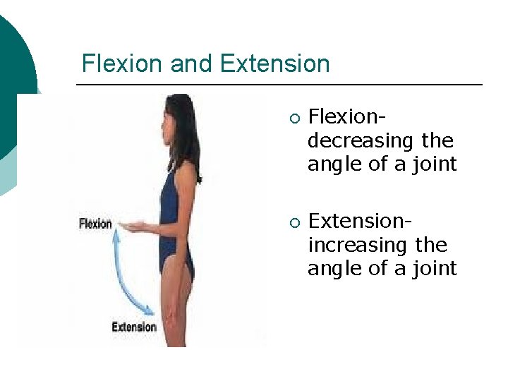 Flexion and Extension ¡ ¡ Flexion- decreasing the angle of a joint Extension- increasing Flexion and Extension ¡ ¡ Flexion- decreasing the angle of a joint Extension- increasing