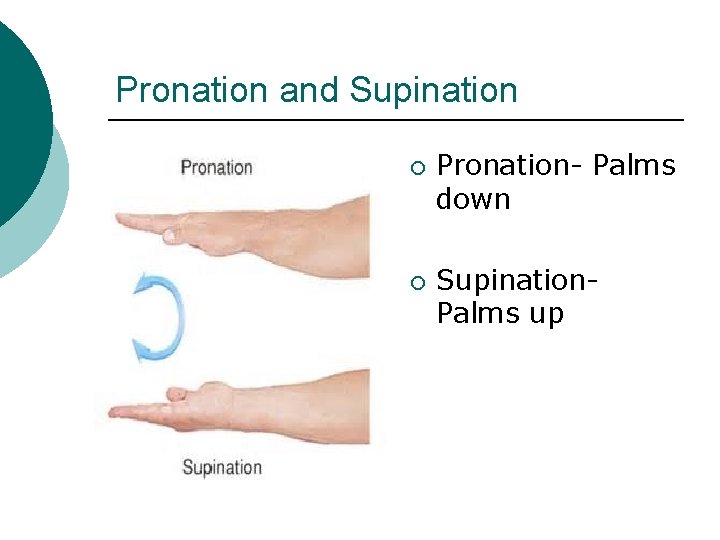 Pronation and Supination ¡ ¡ Pronation- Palms down Supination- Palms up Pronation and Supination ¡ ¡ Pronation- Palms down Supination- Palms up