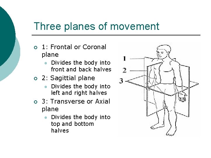 Three planes of movement ¡ 1: Frontal or Coronal plane l ¡ 2: Sagittial Three planes of movement ¡ 1: Frontal or Coronal plane l ¡ 2: Sagittial
