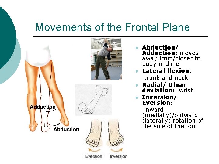 Movements of the Frontal Plane l l Abduction/ Adduction: moves away from/closer to body Movements of the Frontal Plane l l Abduction/ Adduction: moves away from/closer to body