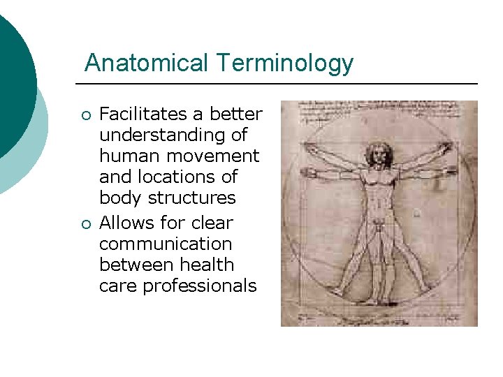 Anatomical Terminology ¡ ¡ Facilitates a better understanding of human movement and locations of Anatomical Terminology ¡ ¡ Facilitates a better understanding of human movement and locations of