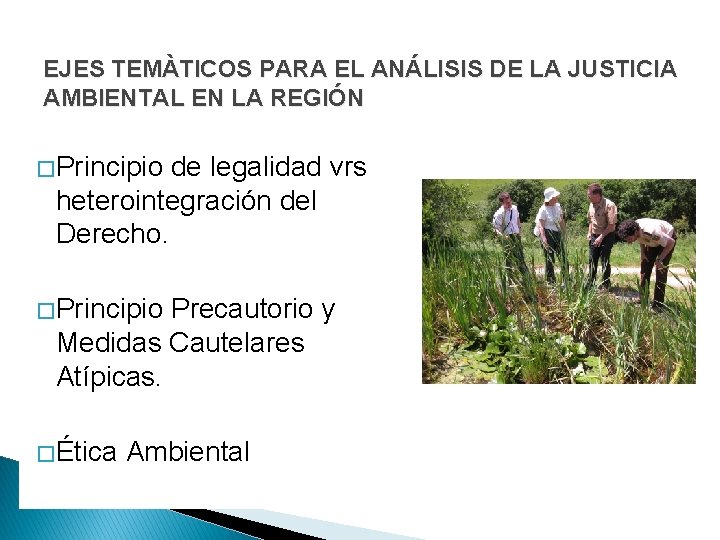 EJES TEMÀTICOS PARA EL ANÁLISIS DE LA JUSTICIA AMBIENTAL EN LA REGIÓN � Principio