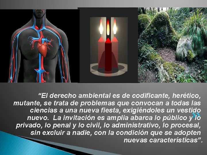  “El derecho ambiental es de codificante, herético, mutante, se trata de problemas que