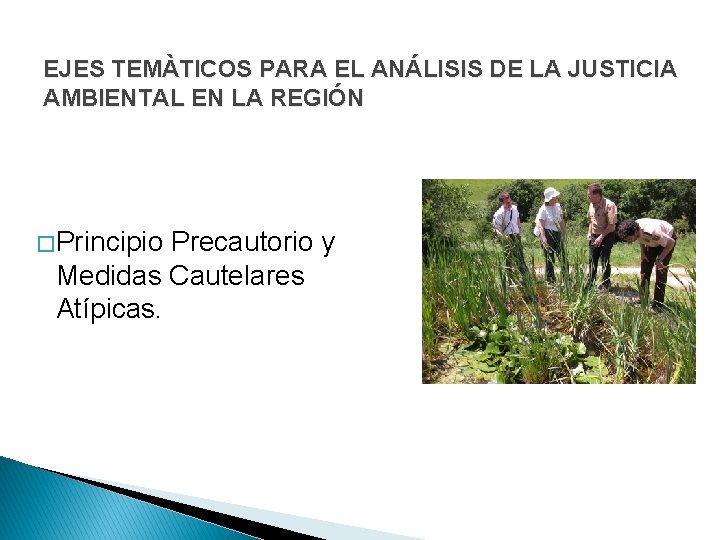 EJES TEMÀTICOS PARA EL ANÁLISIS DE LA JUSTICIA AMBIENTAL EN LA REGIÓN � Principio