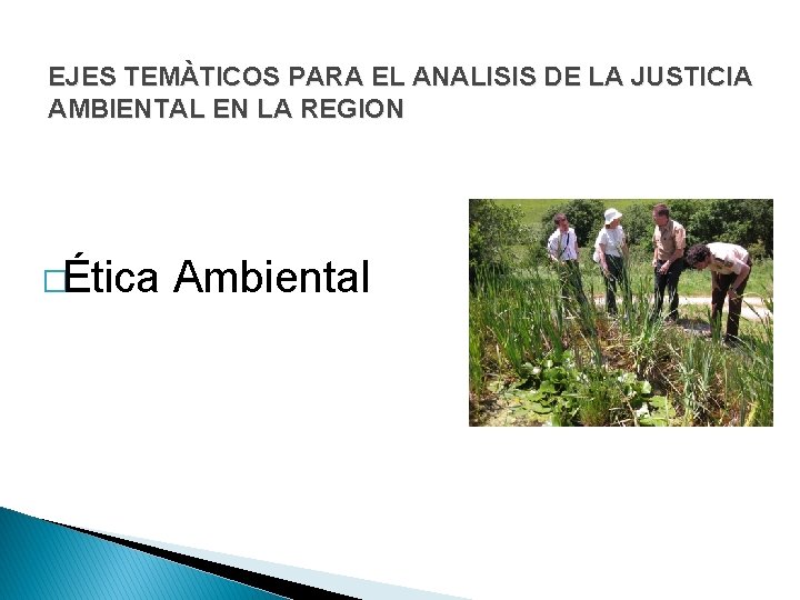 EJES TEMÀTICOS PARA EL ANALISIS DE LA JUSTICIA AMBIENTAL EN LA REGION �Ética Ambiental