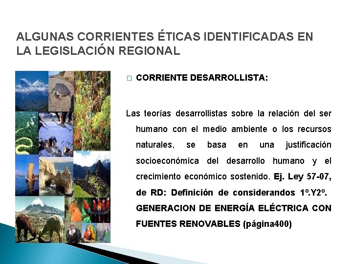 ALGUNAS CORRIENTES ÉTICAS IDENTIFICADAS EN LA LEGISLACIÓN REGIONAL � CORRIENTE DESARROLLISTA: Las teorías desarrollistas