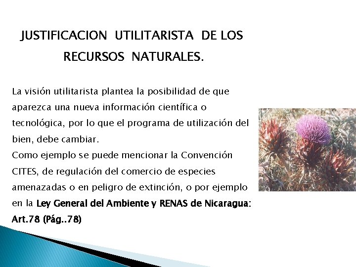 JUSTIFICACION UTILITARISTA DE LOS RECURSOS NATURALES. La visión utilitarista plantea la posibilidad de que