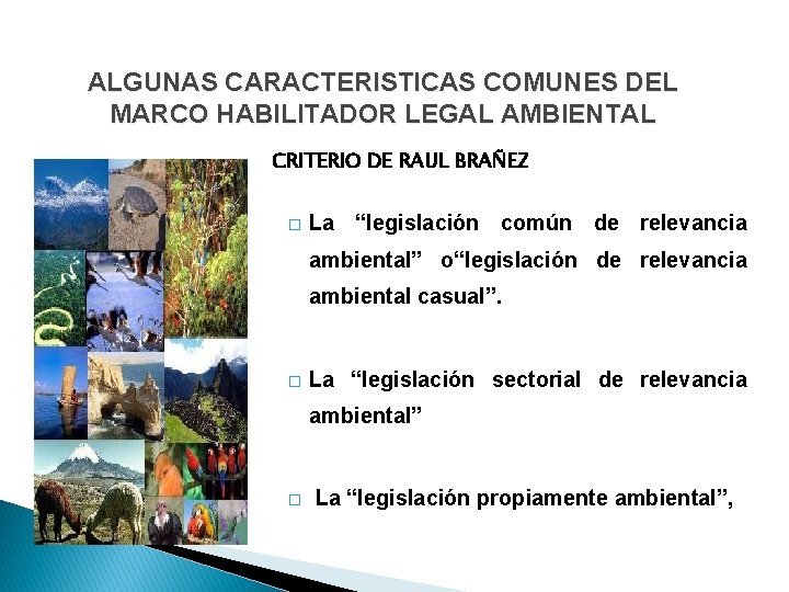 ALGUNAS CARACTERISTICAS COMUNES DEL MARCO HABILITADOR LEGAL AMBIENTAL CRITERIO DE RAUL BRAÑEZ � La