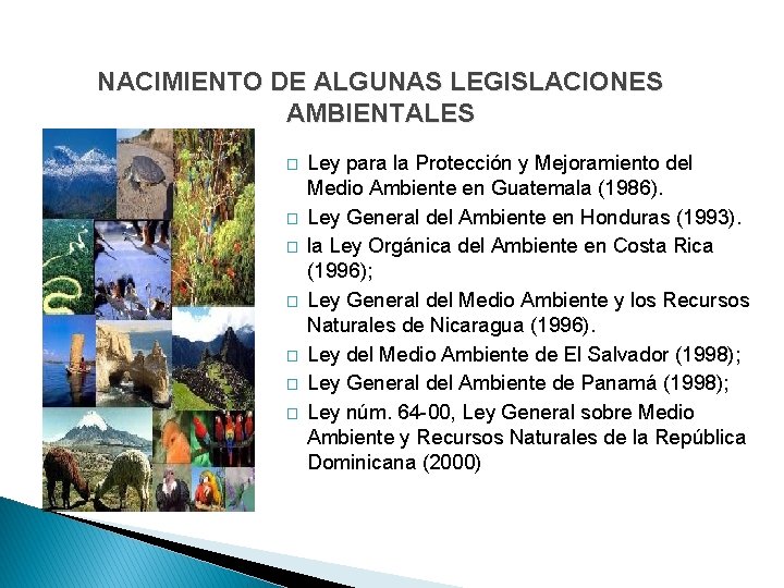 NACIMIENTO DE ALGUNAS LEGISLACIONES AMBIENTALES � � � � Ley para la Protección y