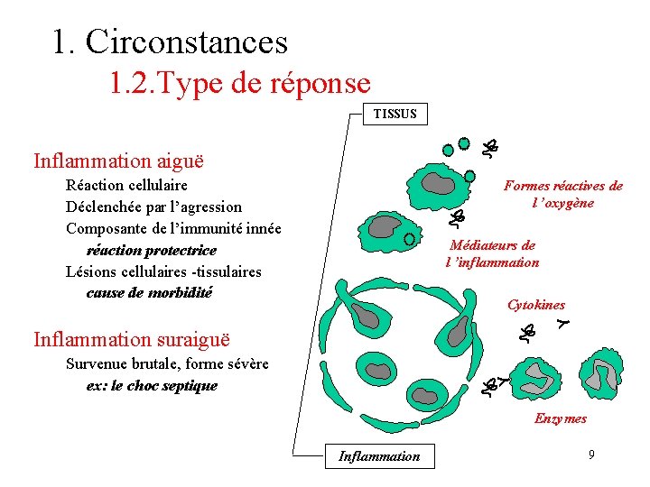 1. Circonstances 1. 2. Type de réponse TISSUS Inflammation aiguë Formes réactives de l 1. Circonstances 1. 2. Type de réponse TISSUS Inflammation aiguë Formes réactives de l