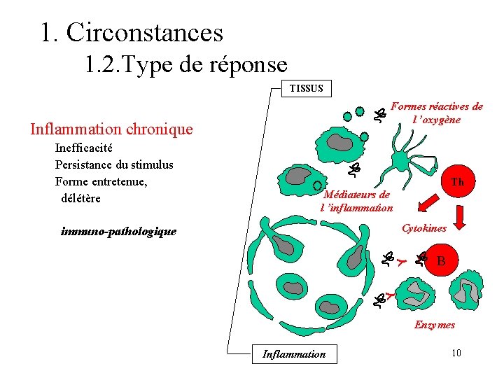 1. Circonstances 1. 2. Type de réponse TISSUS Th Médiateurs de l ’inflammation Cytokines 1. Circonstances 1. 2. Type de réponse TISSUS Th Médiateurs de l ’inflammation Cytokines