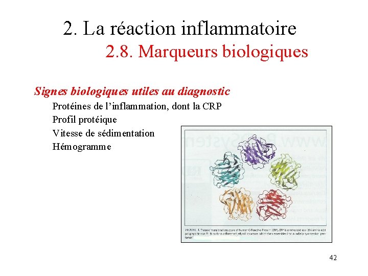 2. La réaction inflammatoire 2. 8. Marqueurs biologiques Signes biologiques utiles au diagnostic Protéines 2. La réaction inflammatoire 2. 8. Marqueurs biologiques Signes biologiques utiles au diagnostic Protéines
