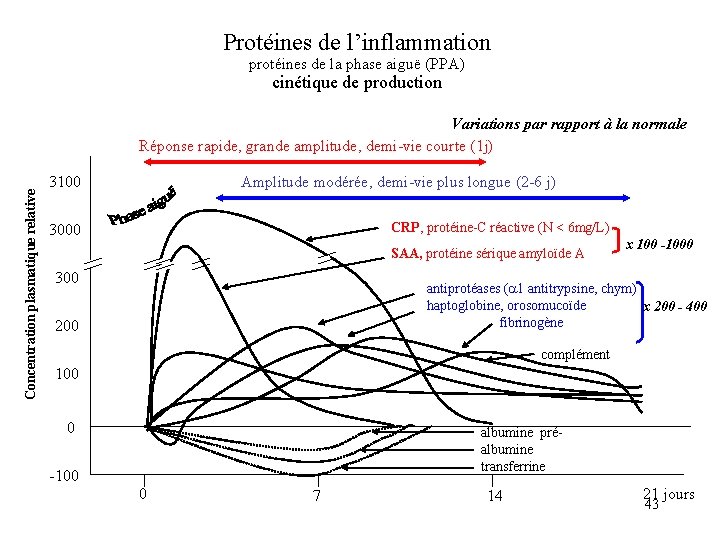 Protéines de l’inflammation protéines de la phase aiguë (PPA) cinétique de production Concentration plasmatique Protéines de l’inflammation protéines de la phase aiguë (PPA) cinétique de production Concentration plasmatique