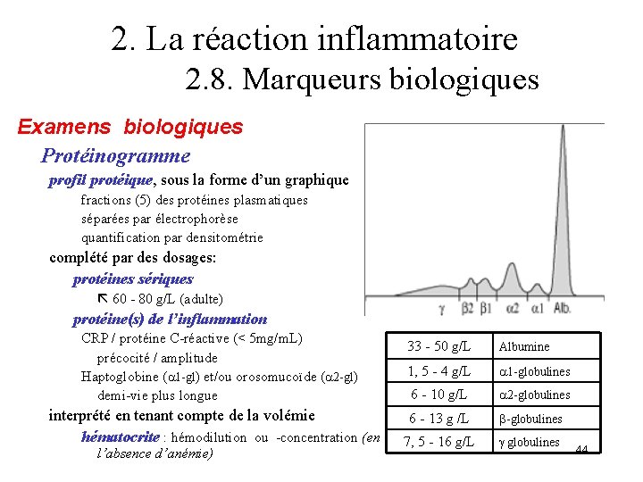 2. La réaction inflammatoire 2. 8. Marqueurs biologiques Examens biologiques Protéinogramme profil protéique, sous 2. La réaction inflammatoire 2. 8. Marqueurs biologiques Examens biologiques Protéinogramme profil protéique, sous