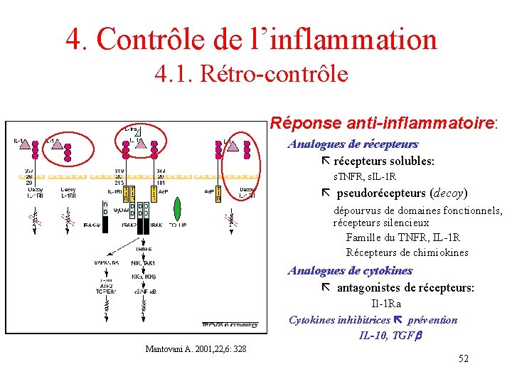 4. Contrôle de l’inflammation 4. 1. Rétro-contrôle Réponse anti-inflammatoire: Analogues de récepteurs solubles: s. 4. Contrôle de l’inflammation 4. 1. Rétro-contrôle Réponse anti-inflammatoire: Analogues de récepteurs solubles: s.