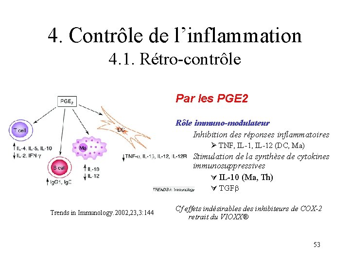 4. Contrôle de l’inflammation 4. 1. Rétro-contrôle Par les PGE 2 Rôle immuno-modulateur Inhibition 4. Contrôle de l’inflammation 4. 1. Rétro-contrôle Par les PGE 2 Rôle immuno-modulateur Inhibition