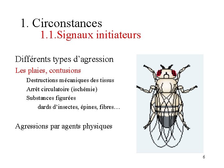 1. Circonstances 1. 1. Signaux initiateurs Différents types d’agression Les plaies, contusions Destructions mécaniques 1. Circonstances 1. 1. Signaux initiateurs Différents types d’agression Les plaies, contusions Destructions mécaniques