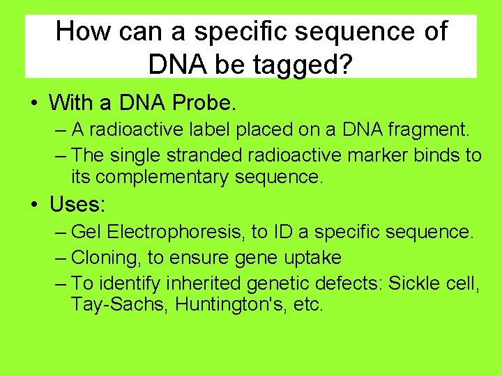 How can a specific sequence of DNA be tagged? • With a DNA Probe.