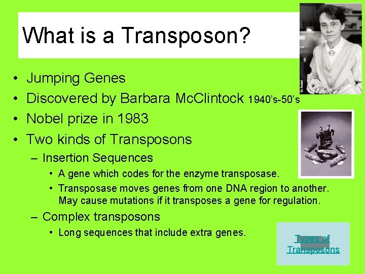 What is a Transposon? • • Jumping Genes Discovered by Barbara Mc. Clintock 1940’s-50’s