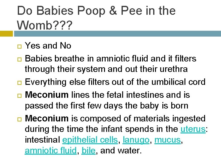 Do Babies Poop & Pee in the Womb? ? ? Yes and No Babies