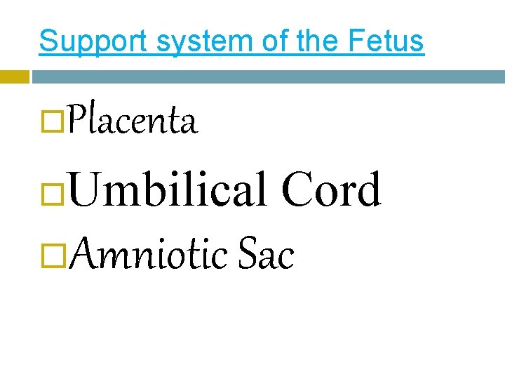 Support system of the Fetus Placenta Umbilical Cord Amniotic Sac 