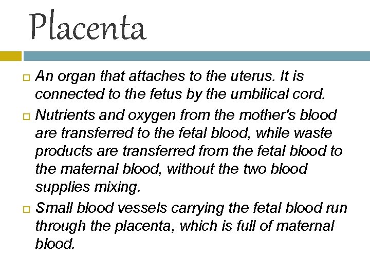 Placenta An organ that attaches to the uterus. It is connected to the fetus