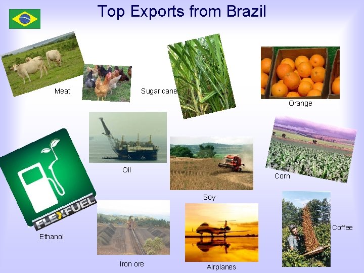 Top Exports from Brazil Meat Sugar cane Orange Oil Corn Soy Coffee Ethanol Iron