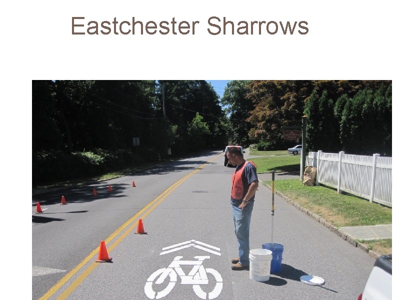 Eastchester Sharrows 