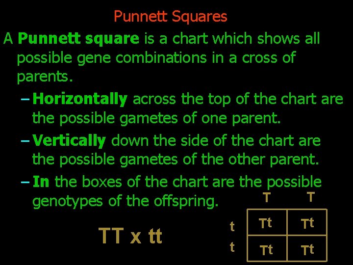 Punnett Squares A Punnett square is a chart which shows all possible gene combinations