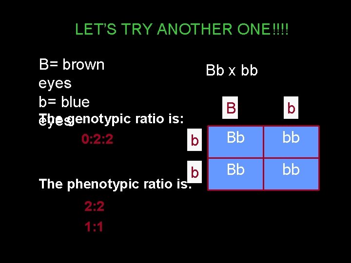 LET’S TRY ANOTHER ONE!!!! B= brown eyes b= blue The eyesgenotypic ratio is: 0: