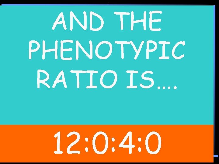 AND THE Needs an E and H PHENOTYPIC Needs an E and 0/16 RATIO