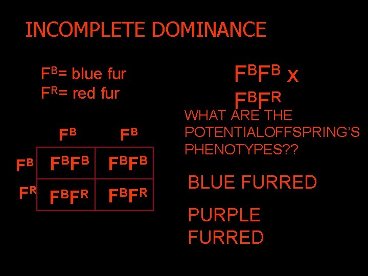 INCOMPLETE DOMINANCE FB= blue fur FR= red fur FB FB F BF B FR