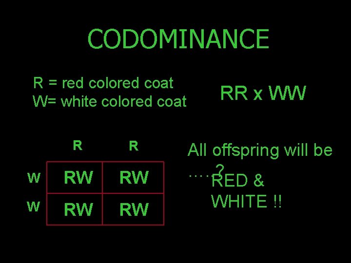 CODOMINANCE R = red colored coat W= white colored coat R R W RW
