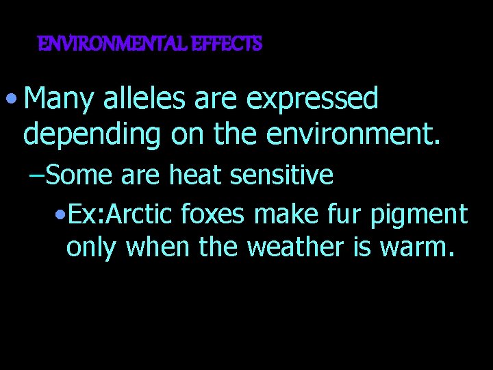ENVIRONMENTAL EFFECTS • Many alleles are expressed depending on the environment. –Some are heat