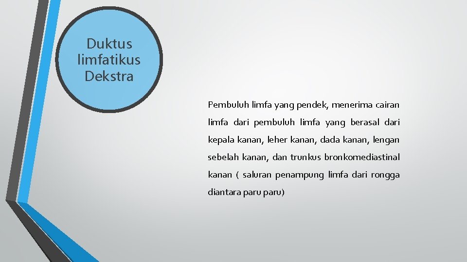 Duktus limfatikus Dekstra Pembuluh limfa yang pendek, menerima cairan limfa dari pembuluh limfa yang