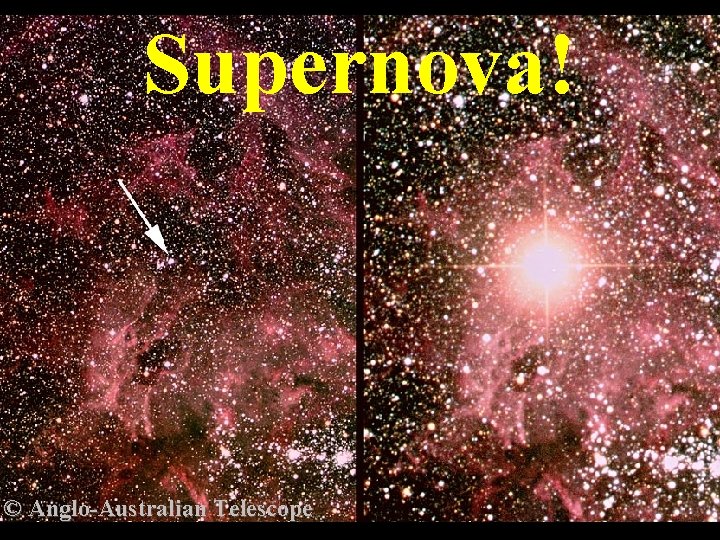 Supernova! © Anglo-Australian Telescope 