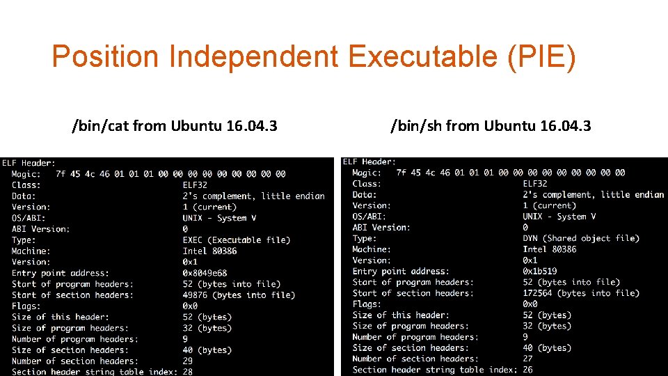 Position Independent Executable (PIE) /bin/cat from Ubuntu 16. 04. 3 /bin/sh from Ubuntu 16. Position Independent Executable (PIE) /bin/cat from Ubuntu 16. 04. 3 /bin/sh from Ubuntu 16.