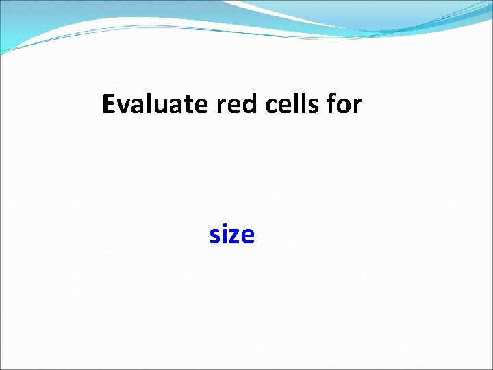 Evaluate red cells for size 