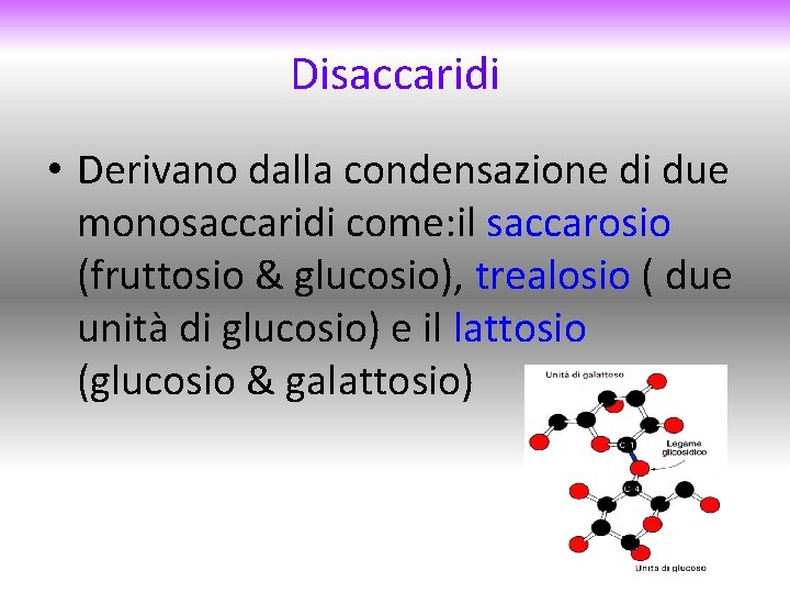 Disaccaridi • Derivano dalla condensazione di due monosaccaridi come: il saccarosio (fruttosio & glucosio),