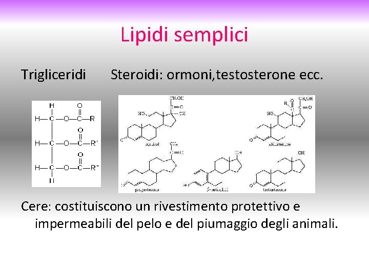 Lipidi semplici Trigliceridi Steroidi: ormoni, testosterone ecc. Cere: costituiscono un rivestimento protettivo e impermeabili