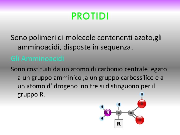 PROTIDI Sono polimeri di molecole contenenti azoto, gli amminoacidi, disposte in sequenza. Gli Amminoacidi