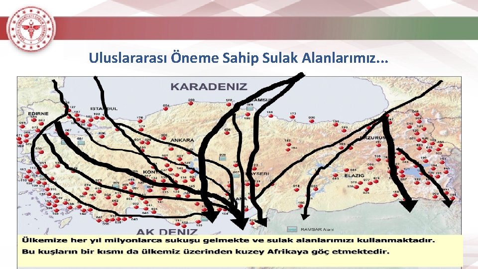 Uluslararası Öneme Sahip Sulak Alanlarımız. . . 