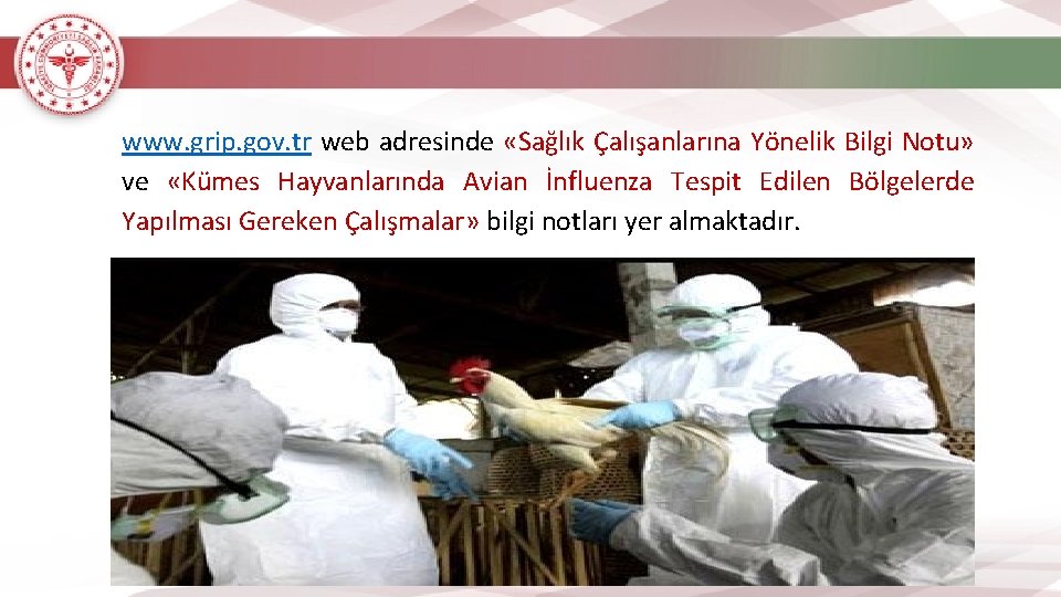 www. grip. gov. tr web adresinde «Sağlık Çalışanlarına Yönelik Bilgi Notu» ve «Kümes Hayvanlarında