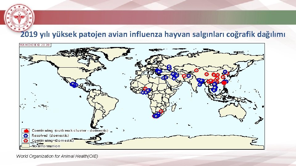2019 yılı yüksek patojen avian influenza hayvan salgınları coğrafik dağılımı World Organization for Animal