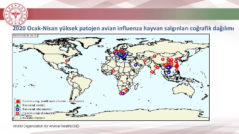 2020 Ocak-Nisan yüksek patojen avian influenza hayvan salgınları coğrafik dağılımı World Organization for Animal