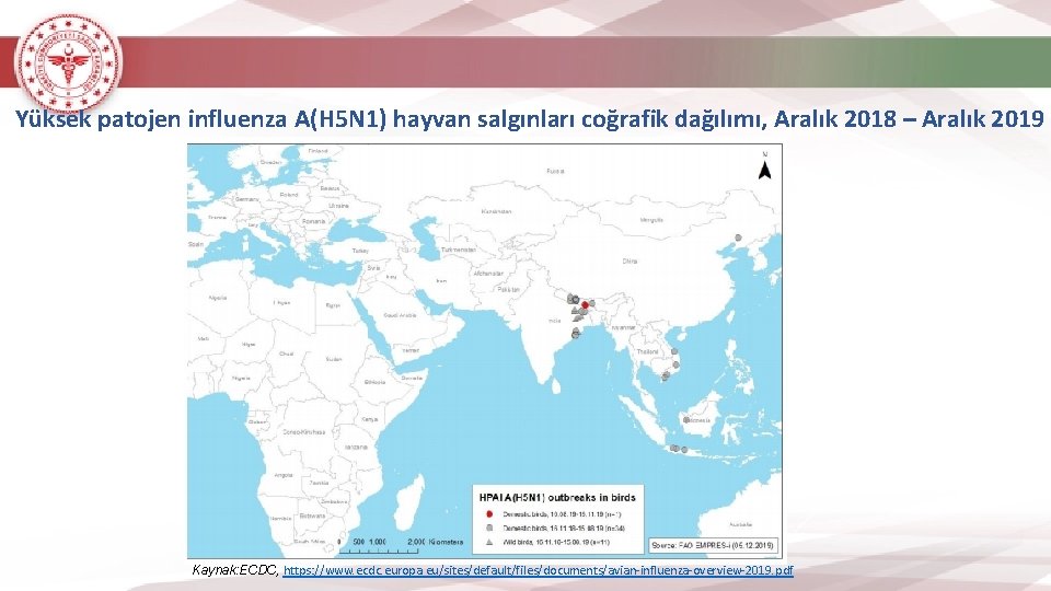 Yüksek patojen influenza A(H 5 N 1) hayvan salgınları coğrafik dağılımı, Aralık 2018 –